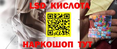 индика Нальчик