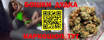 индика Нальчик