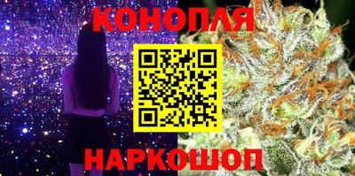 индика Нальчик